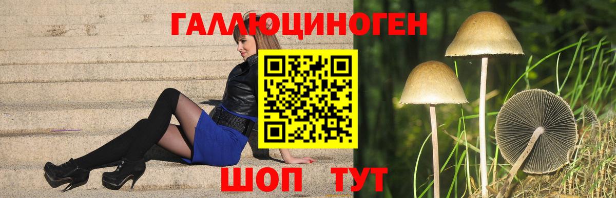 Санкт-Петербург  Галлюциногенные грибы MAGIC MUSHROOMS  Вход с VPN 