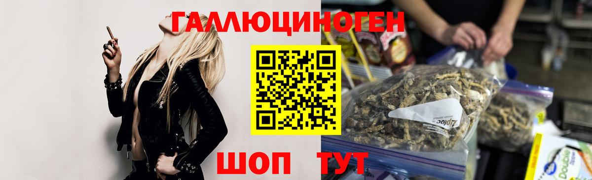 Псилоцибиновые грибы прущие грибы Санкт-Петербург